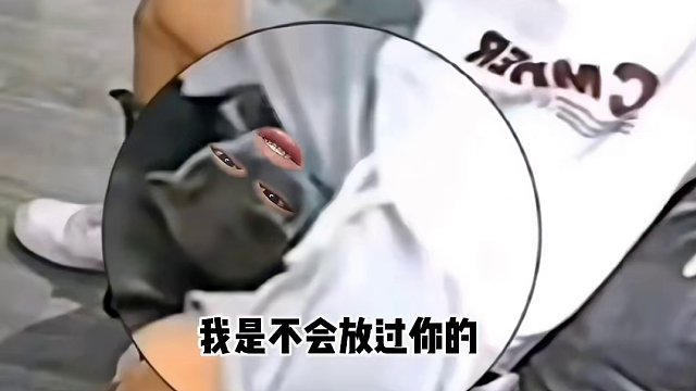 570. 小猫 -我也是服了