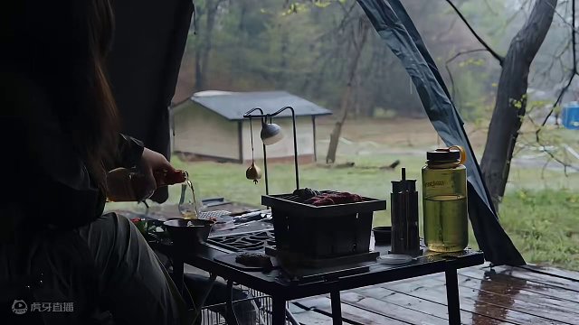 雨中露营（贰）
一个人在树林里静静地露营听雨，真是一件惬意的事情~
 #露营 #雨中露营 #助眠 #