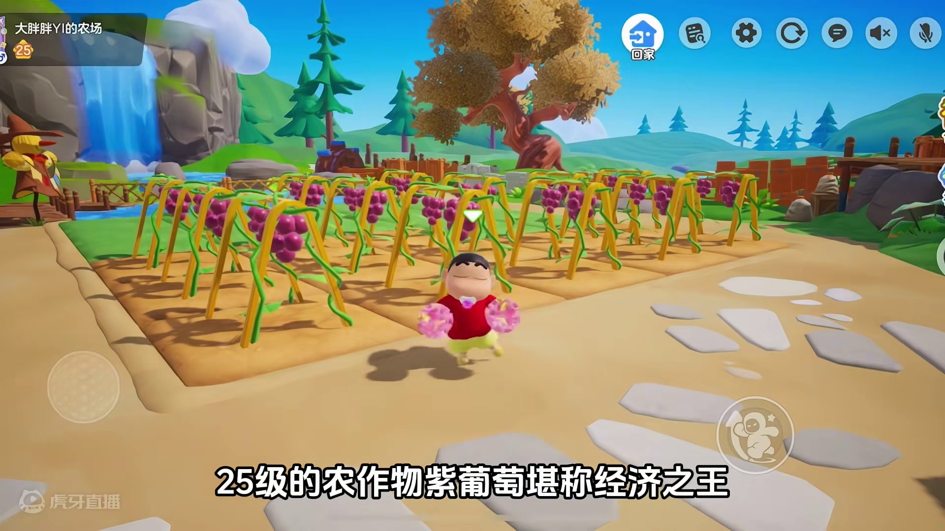 高等级玩家必种的经济之王紫葡萄#元梦建造家 #元梦之星时光漫游 #元梦之星 #元梦快乐星奇天 #元梦