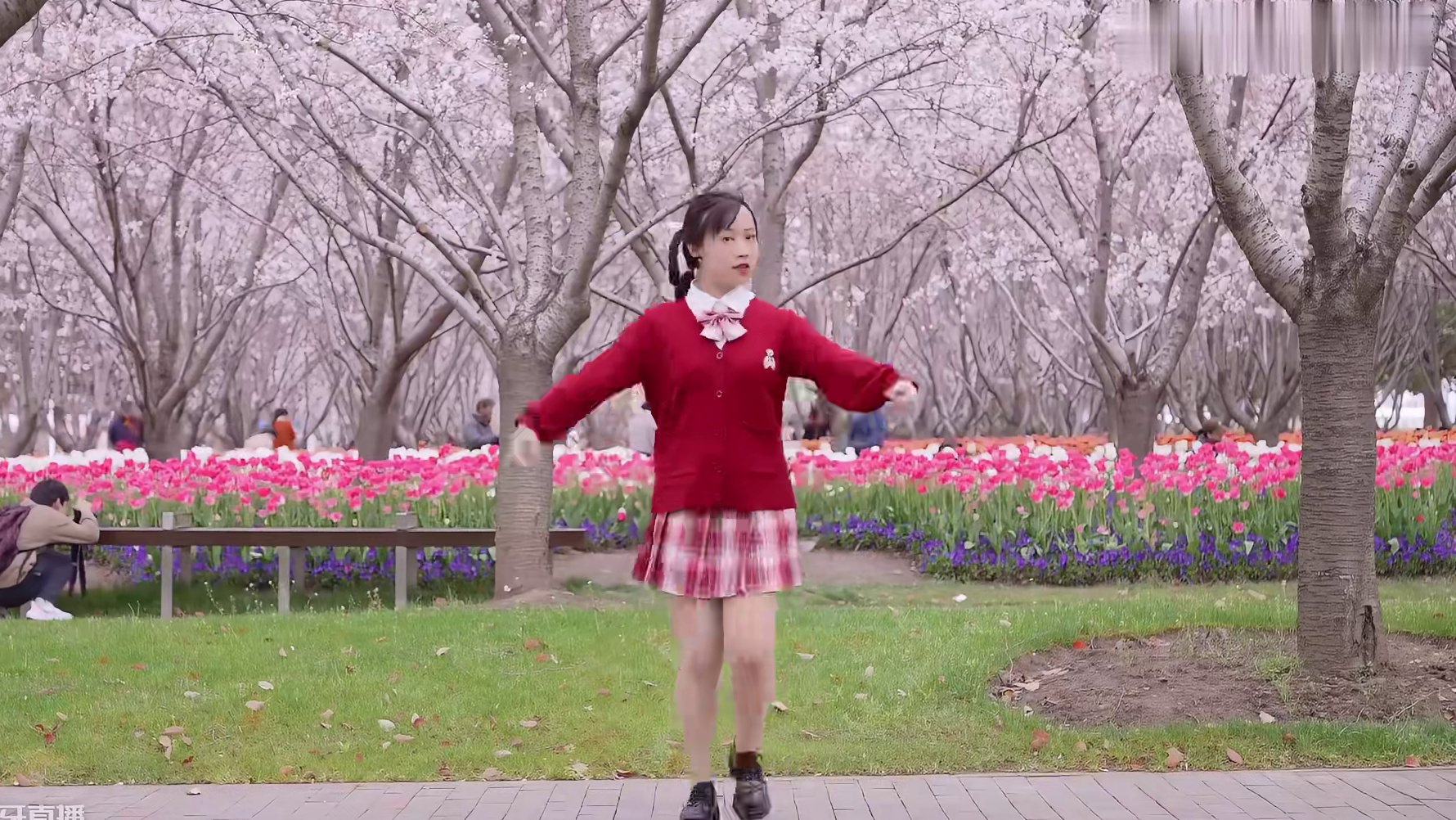 带你看看上海的郁金香吧！——旧坑补完计划【聆风】