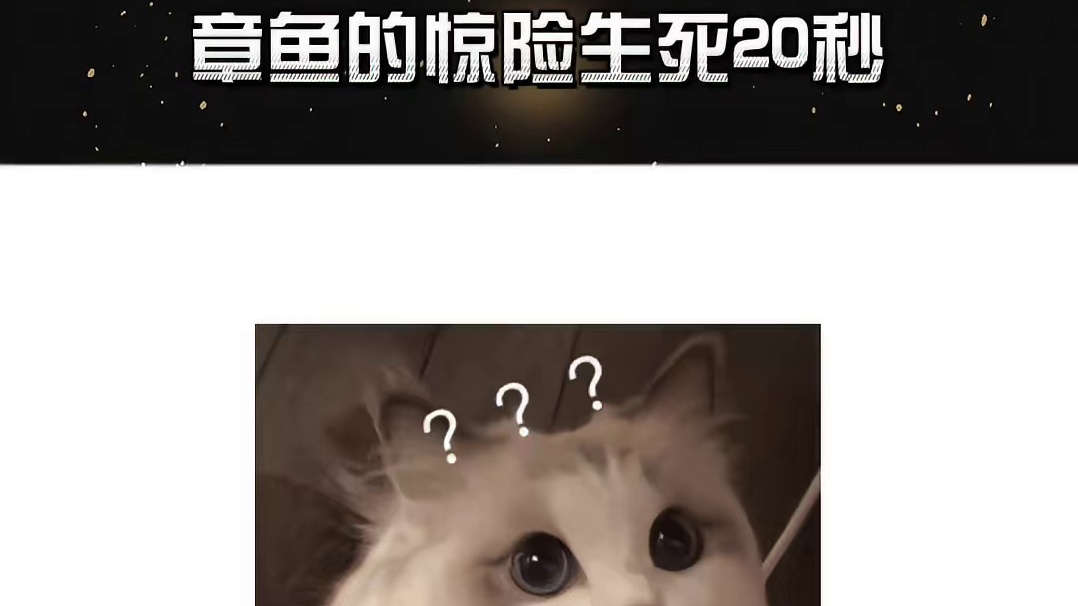 不是？我寻思我也没眨眼啊？？？