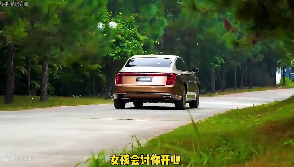 红旗立的不是标，而是多年直不起的腰…#红旗 #汽车 #现实