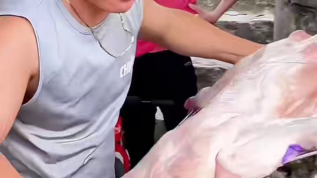 你尝试过最牛的外卖吗#烤全羊 #烤全羊外酥里嫩 #流动烤全羊 #福州美食推荐 #烧烤