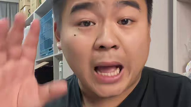 买猫需谨慎 大家一定要擦亮双眼！！#壮实说猫