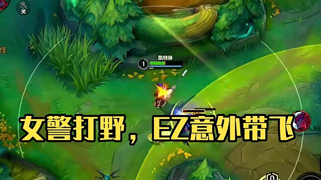 光辉 女警 卡莉斯塔 EZ出人意外的打野 没有英雄是哥打不了的野 还是那句话各种打野带飞 负战绩直接