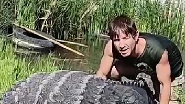 喂鳄鱼 #专业操作请勿模仿 #野生动物零距离 #史前巨鳄