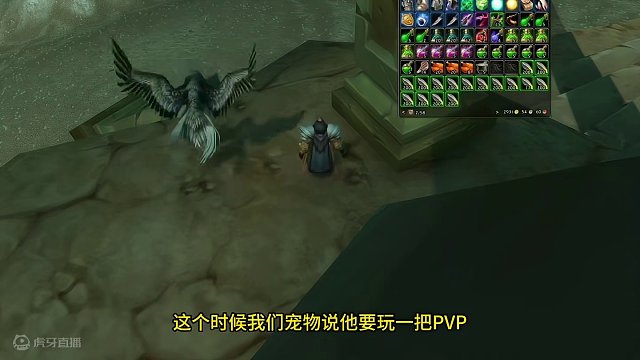 猎人大战萨满 #魔兽世界 #探索赛季 我说不 可我们的宠物非要玩PVP