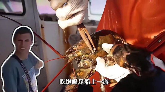 <第1/3集>出海捕捞“龙虾”，收放800个虾笼是怎样的体验？#纪录片充电计划 