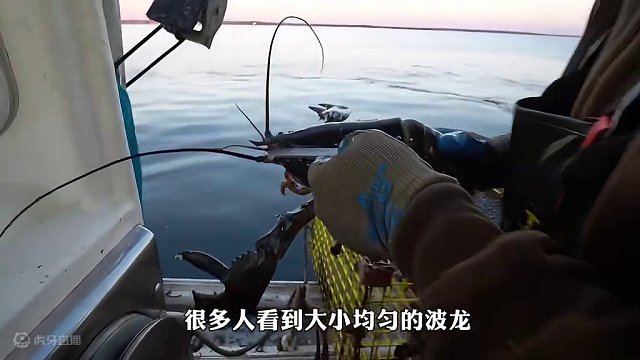 <第2/3集>出海捕捞“龙虾”，收放800个虾笼是怎样的体验？#纪录片充电计划 