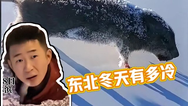 165. 盘点东北的冬天有多冷