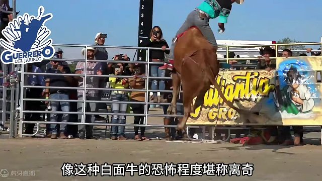 疯狂跳跳牛！极限骑牛大赛，然而奖金只有区区百万。