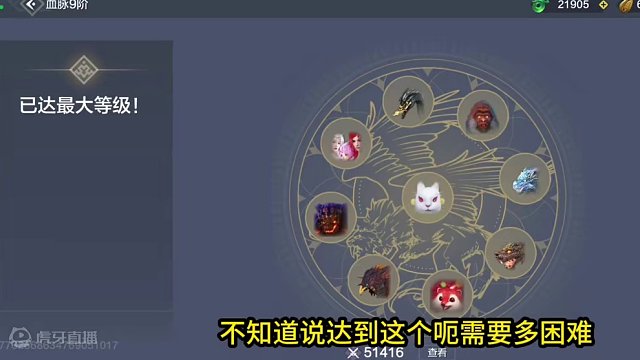 山海第一实战血脉？2262元素攻击 505元素穿透 有比这个高的吗？ #妄想山海 #元素偏转 #神兽