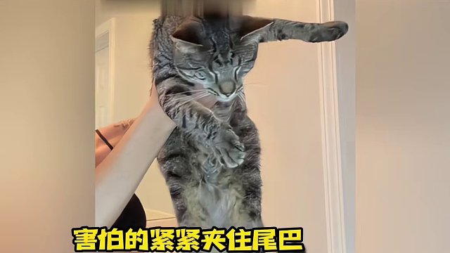 受不鸟惹，希望宝宝每次伸出来的爪爪都有被好好地牵住