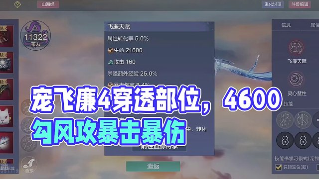 新进化宠飞廉居然是4穿透部位！只要4600勾！风攻+暴击+暴伤天赋 #妄想山海 #体验服爆料 #手机