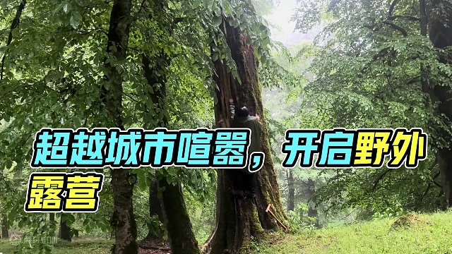 来准时观看一集超解压的 #野外露营 吧