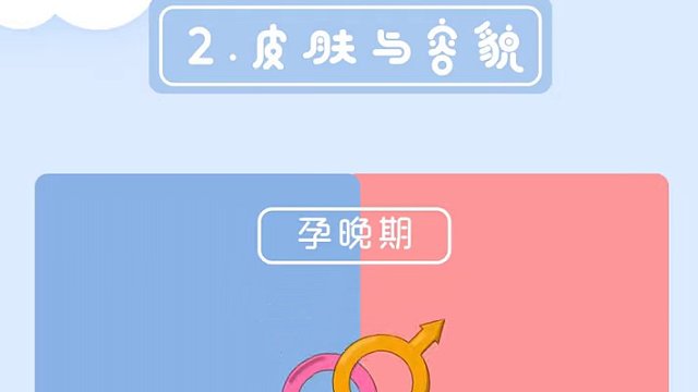 性别揭秘：科学解锁胎儿性别的奥秘