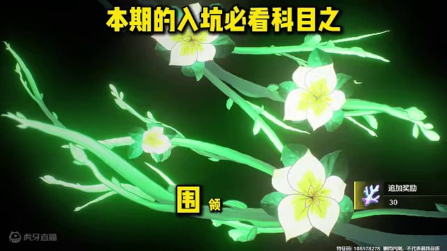 【鸣潮东Sir】维里奈培养攻略 全方位保姆级教学 一步到位！ 你想知道的这里都有！维里奈阵容搭配！维