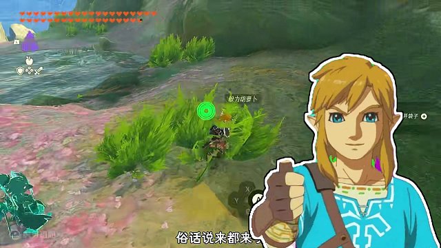 这游戏到底谁在收集啊！ #塞尔达传说 #塞尔达传说王国之泪 #任天堂Switch #主机游戏