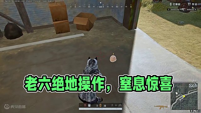 幸亏游戏崩溃的晚，你们遇到这种吗？#老六 #令人窒息的操作 #绝地求生 #游戏日常 #2024鸡斯卡