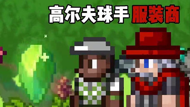 哪个npc最不能少？ #泰拉瑞亚 #泰拉瑞亚手游