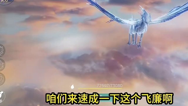 严格控制数值！9万战力后期飞廉速成完毕！为了测试又养一只熊猫 #妄想山海 #山海经 #手机游戏 #开