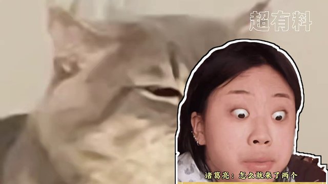 我不懂北伐，还不了解大学生嘛！#大学生 #诸葛亮 #娱乐超有料