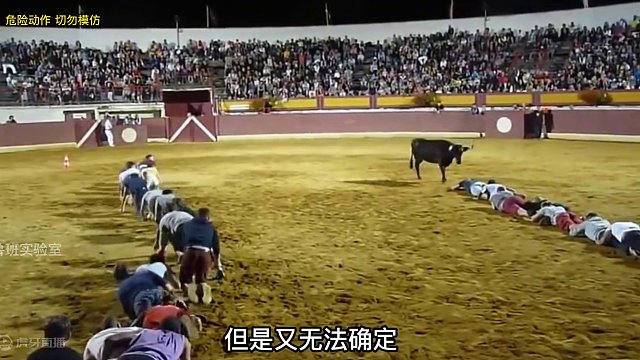 勇敢者挑战！在狂牛的攻击下哪一队能爬到终点，就能赢得十万美刀