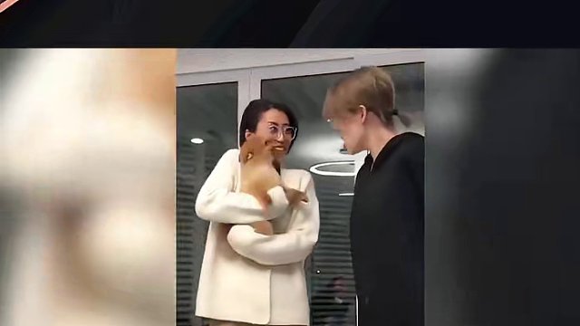 212. 那些秒怂的狗子