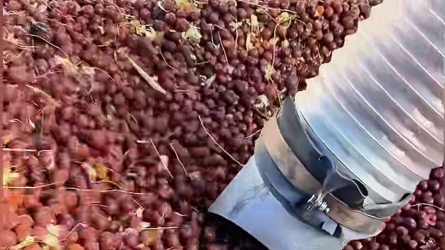 这些“土”竟然是可以吃的，可它的制作过程你知道吗？#酸枣面 #制作过程 #酸枣 #儿时的味道 #儿时