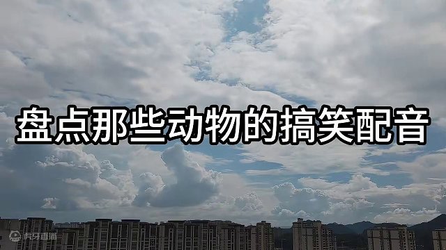 108. 盘点动物的神配音，这哪是配音，这是翻译吧～