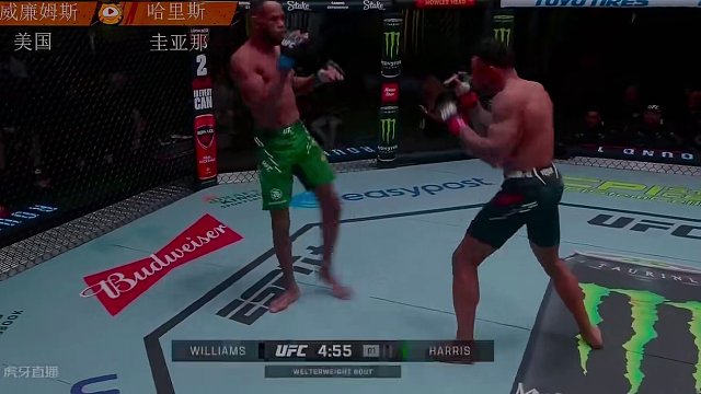 UFC格斗之夜241	威廉姆斯 VS 哈里斯 解说