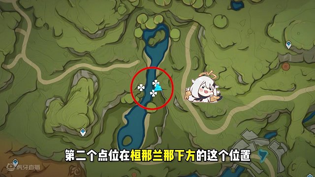 264. 草神都抽到了吧？这份劫波莲最佳采集路线奉上～