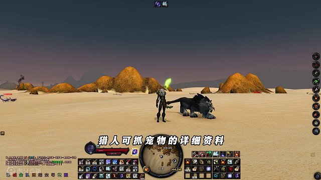 魔兽世界猎人宠物的详细分类、属性加持、技能详解 #艺泽魔兽 #魔兽世界 #游戏搬砖 #魔兽世界plu