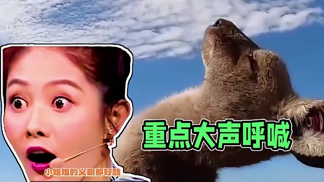 我丢！好帅啊！