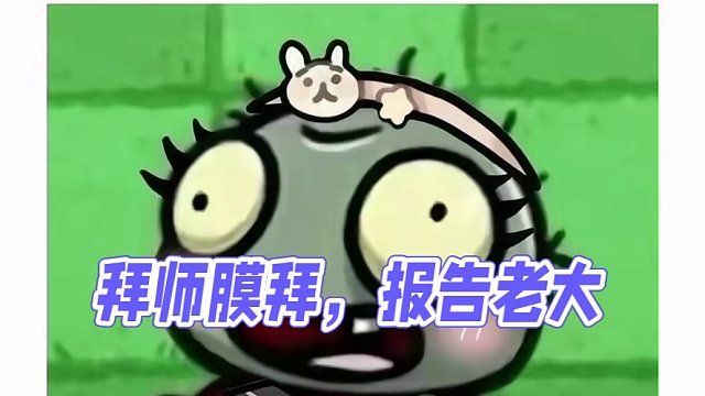 报告老大！