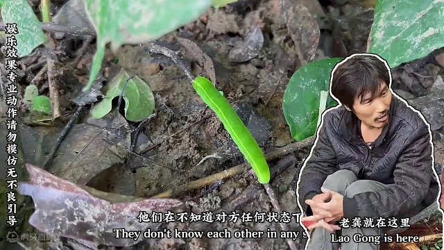 普通人皆可参与的荒野求生大奖赛，坚持到最后者可获得10万奖金 第二阶段—荒野独居（52—53天）特别