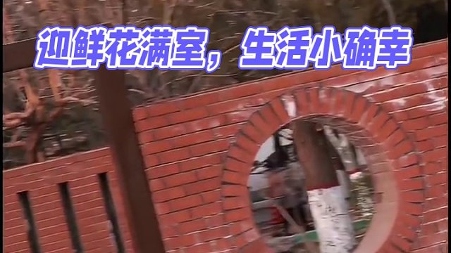 丢烦心事，迎鲜花满室——生活的小确幸