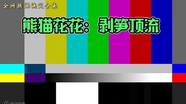 224. 国宝熊猫爆笑合集：众所周知熊猫界顶流花花是一个无情的剥笋机器