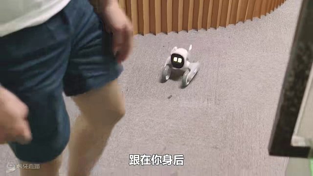 loona宠物机器人：能聊能学还能玩，比真宠还贴心！ #宠物机器人 #机器人  #科技  