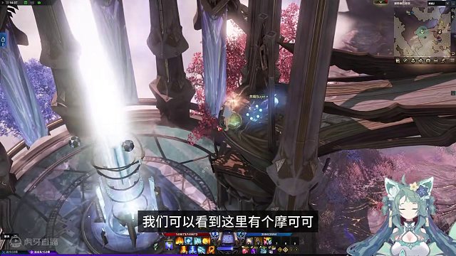 艾尔加西亚赫斯泰拉庭院摩可可攻略 #命运方舟 #艾尔加西亚 #赫斯泰拉庭院 #摩可可