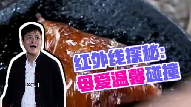 红外线之谜：母爱与科学的温馨碰撞