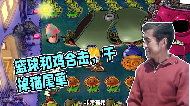 植物大战僵尸：你把篮球和鸡，联系起来想一想！ #植物大战僵尸 #单机游戏