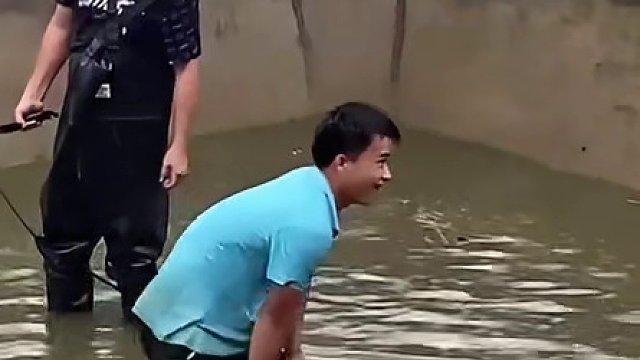 它溺水了，鳄鱼溺水了 #鳄鱼 #鳄鱼养殖场 #鳄鱼溺水 #鳄珍