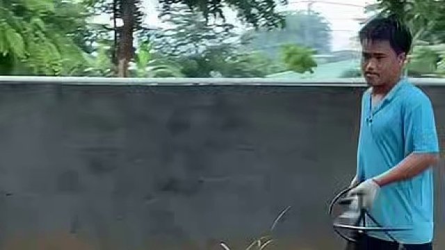 这是我们养殖场唯一指定恶人 #鳄鱼 #鳄鱼养殖场 #抓鳄鱼 #鳄珍