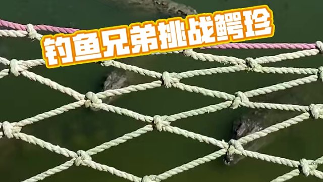 兄弟们来这里钓鱼！ #鳄鱼 #鳄珍 #鳄鱼皮带