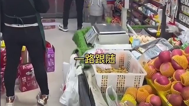 58. 盘点那些认错家长的小朋友，一次开朗换来一生自闭