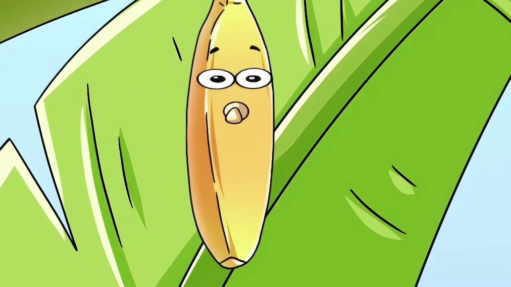 你知道香蕉是越弯好还是越直好吗？