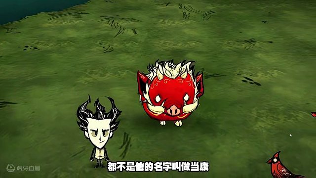 我发布了一个新视频，快来围观吧！