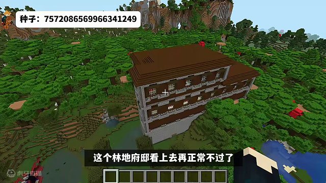 我的世界：奇葩种子大赏，这也叫村庄？ #我的世界 #单机游戏 #Minecraft