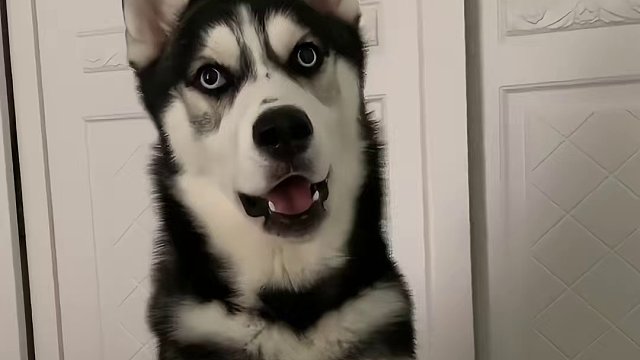 25_老铁们，我就想睡个懒觉，这要求过分吗？过分吗！！！